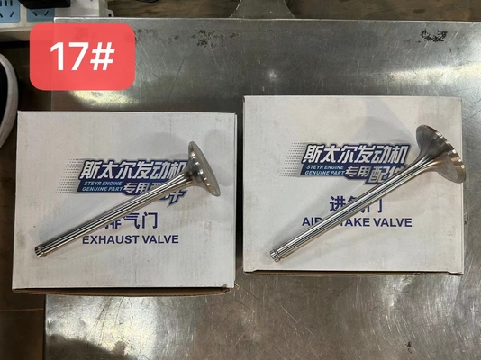 612600050025 Air Exhaust Valve Weichai WP10 Dieselmotoronderdelen
