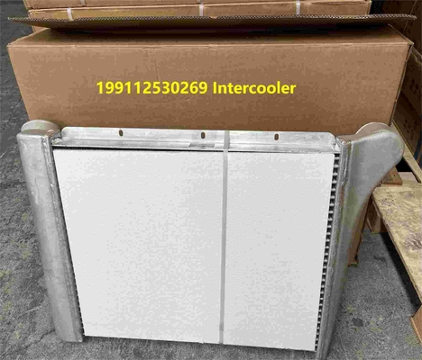 199112530269 Shacman Truck Parts Intercooler Assemblage Shacman F3000 Truck Parts