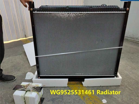 Radiator WG9525531461 HOWO Truckonderdelen Intercooler