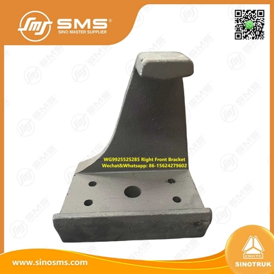 WG9925525285 Hoofdstuk van de voorziening HOWO Truck parts