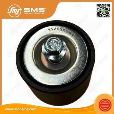 Flat Idler 612630061100 Weichai Motoronderdelen Gordel Spanningsband Roller Gordel Idler Pulley Spanningsband Flat Idler