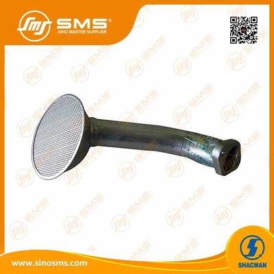 Weichai Shacman 61800070051 de Assemblage Wp10 van de Oliezeef