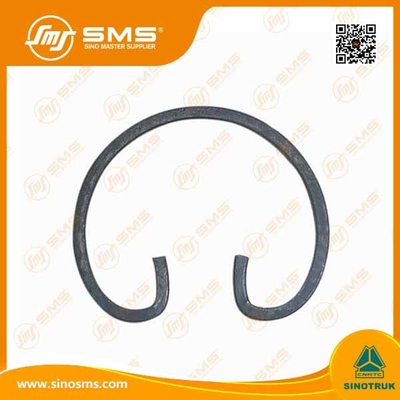 OEM ODM HOWO Vrachtwagendelen die Ring Wd 615 WG1560030012 behouden
