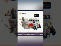 VG1560080023 brandstofinjectiepomp HOWO Truck parts WD615.69/47