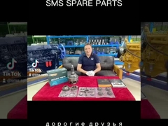 AZ9231320171 Differentiële assemblage HOWO Truck parts